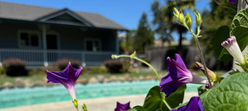 rehab services near me