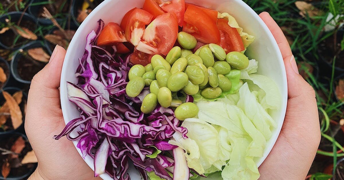 A bowl of fresh vegetables including edamame, tomatoes, shredded red cabbage, and lettuce held in two hands outdoors.
